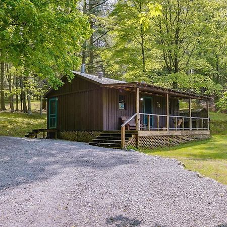 Cozy Green Bank Cabin About 2 Mi To Observatory! Villa Dunmore Exterior photo